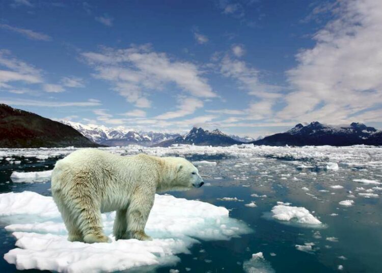 2027: el año en que el Ártico tendría primer día sin hielo