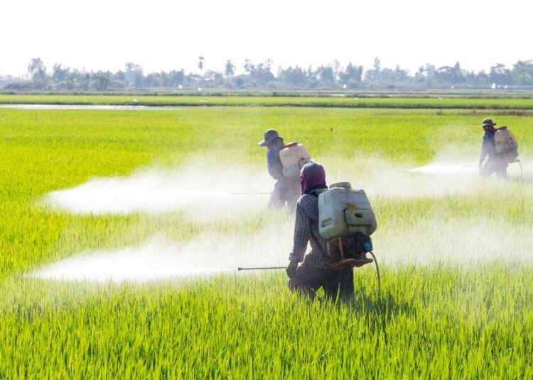 Estudio vincula herbicida común con daño cerebral permanente