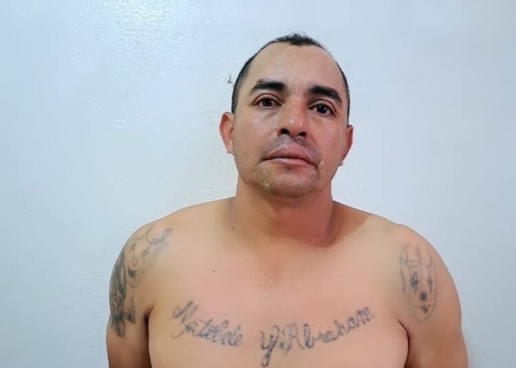 Capturan a peligroso pandillero de la MS que operaba en Santa Ana