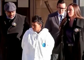 Acusan formalmente a migrante ilegal de quemar viva a una mujer en el subway de Nueva York