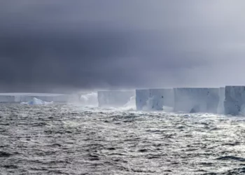 El iceberg más grande del mundo se desprendió de la Antártida y navega a la deriva por el océano