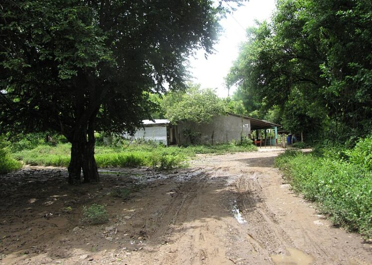 45 familias en Usulután serán dueñas de sus terrenos tras 50 años de espera