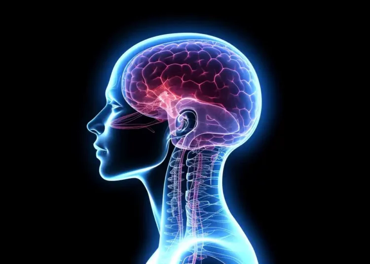 Nuestro cerebro es mucho más lento que el Internet