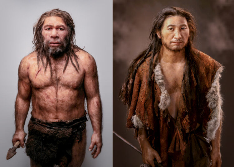 ADN antiguo revela cuándo se unieron humanos y neandertales