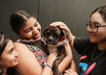 IBA desarrollará feria de adopciones de mascotas del 12 al 15 de diciembre