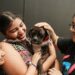 IBA desarrollará feria de adopciones de mascotas del 12 al 15 de diciembre