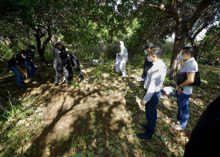 Hallan 15 cuerpos en fosas clandestinas en México