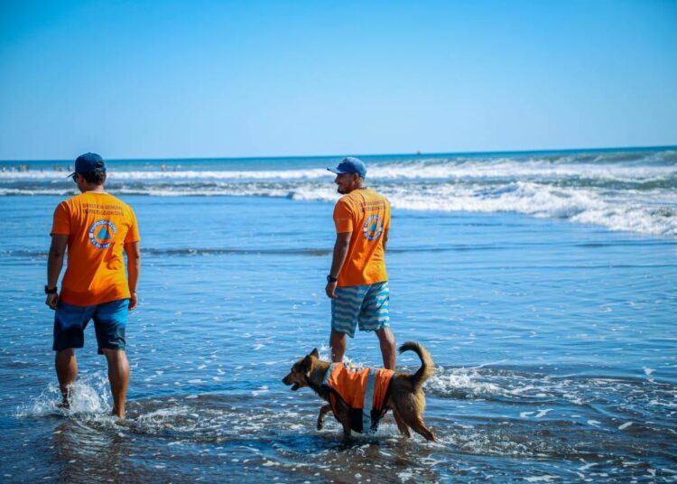 A partir de este jueves entra en vigencia el Plan de Fin de Año para garantizar la seguridad de los salvadoreños