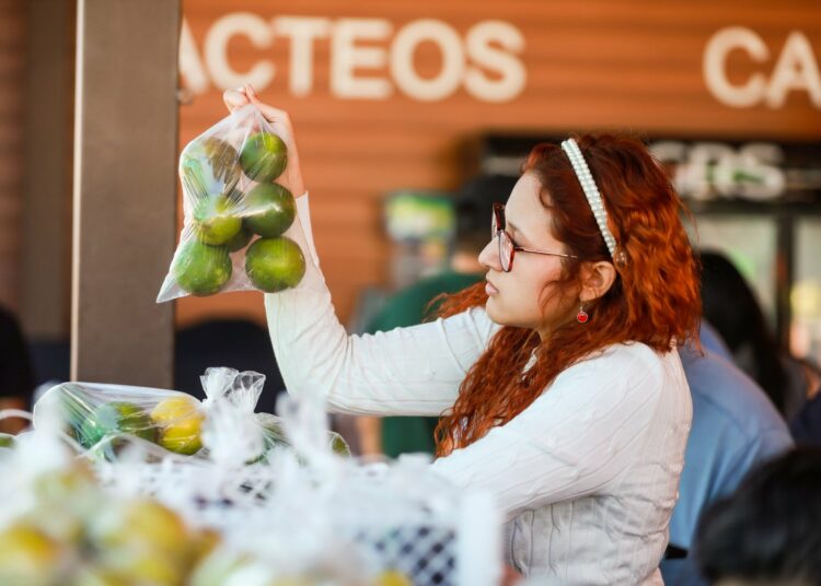 55 Agro Mercados distribuidos en el país siguen aliviando el bolsillo de los salvadoreños