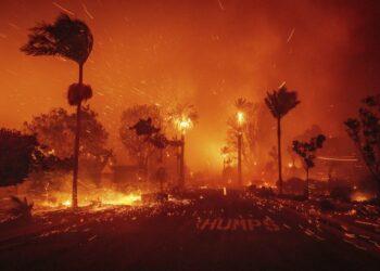 El Salvador se solidariza con Estados Unidos ante los graves incendios en California