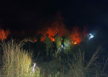 Autoridades sofocan incendio en La Libertad sin reportar víctimas ni daños materiales