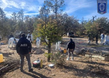 Hallan 56 cadáveres en fosas comunes cerca a la frontera entre México y Estados Unidos