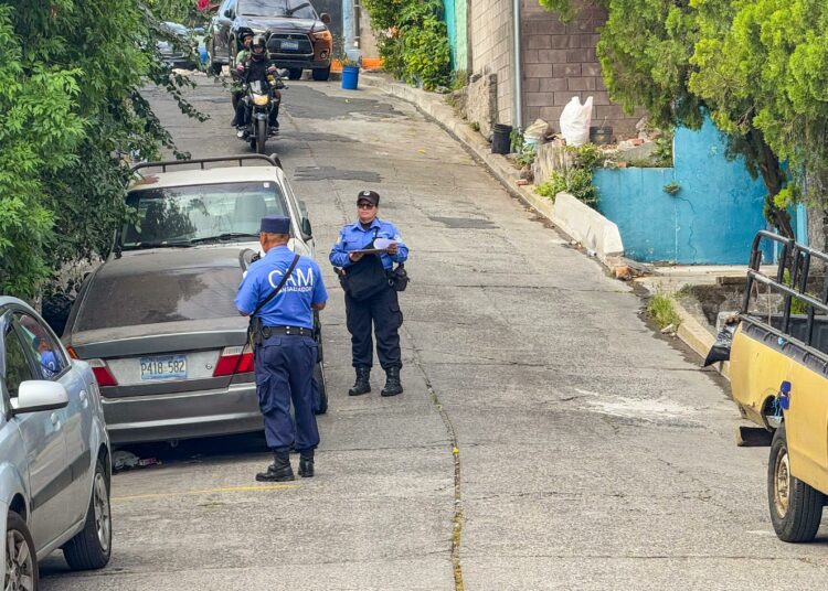 Alcaldía de San Salvador Centro atiende denuncias por vehículos abandonados y árbol en riesgo