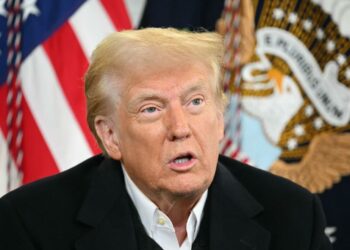 Trump sugiere «limpiar» Gaza y reasentar a los palestinos del enclave en Jordania y Egipto