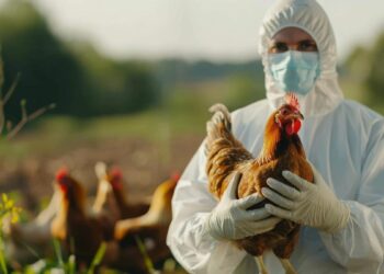 Crecen los casos de Gripe aviar en humanos y advierten del riesgo de mutaciones del virus