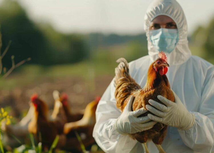Crecen los casos de Gripe aviar en humanos y advierten del riesgo de mutaciones del virus