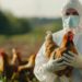 Crecen los casos de Gripe aviar en humanos y advierten del riesgo de mutaciones del virus