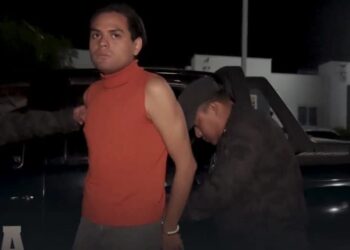 Juzgado decreta detención provisional para hombre acusado de maltrato animal