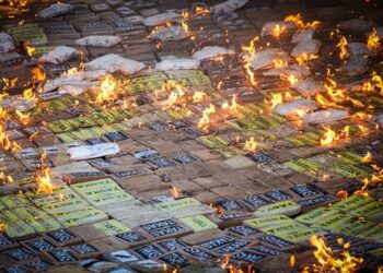 Queman millones de dólares en droga incautada