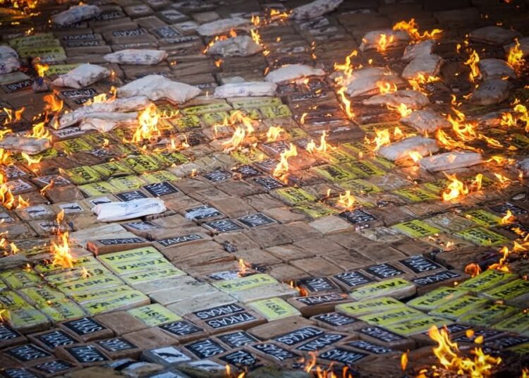 Queman millones de dólares en droga incautada