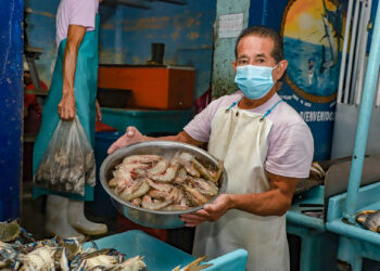 Central de Abastos continúa ofreciendo a comerciantes, emprendedores y restaurantes opciones de calidad y a los mejores precios