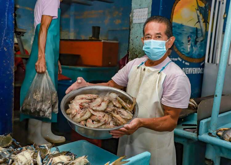 Central de Abastos continúa ofreciendo a comerciantes, emprendedores y restaurantes opciones de calidad y a los mejores precios
