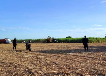 Enero 2025 continúa registrando más días con cero homicidios