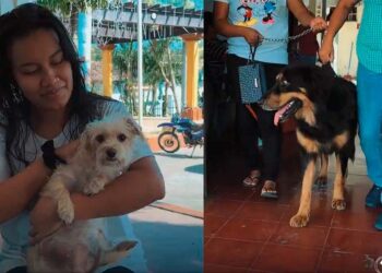 Realizan jornada de toma de muestras sanguíneas para mascotas en San Pedro Nonualco previo a jornada de esterilización y castración