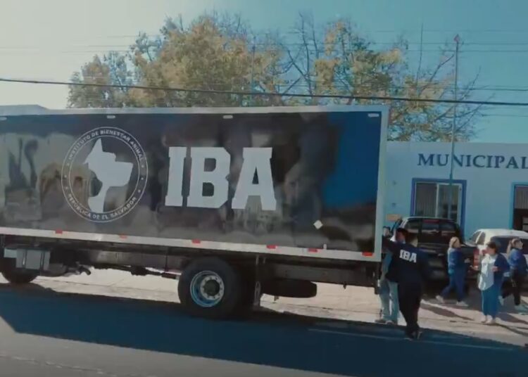 Instituto de Bienestar Animal continúa llevando donativos de alimentos a resguardos y hogares del país