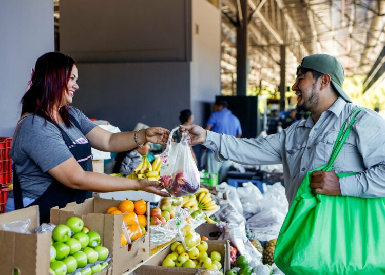 Frutas y verduras por mayor y menor solo en la Central de Abastos