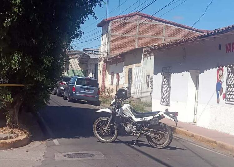 Reportan enjambre de abejas en Metapán