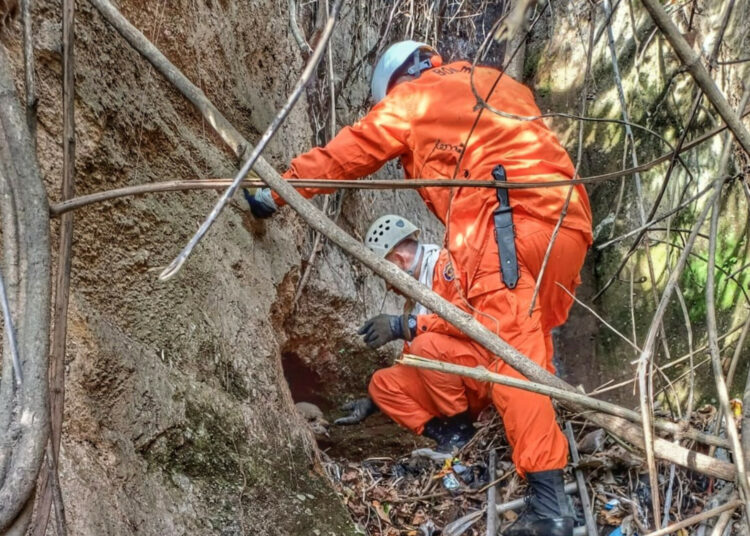 Bomberos rescata a peludito atrapado en desagüe de Ahuachapán