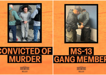 Dos salvadoreños de alta peligrosidad entre los capturados en arrestos por inmigración ilegal