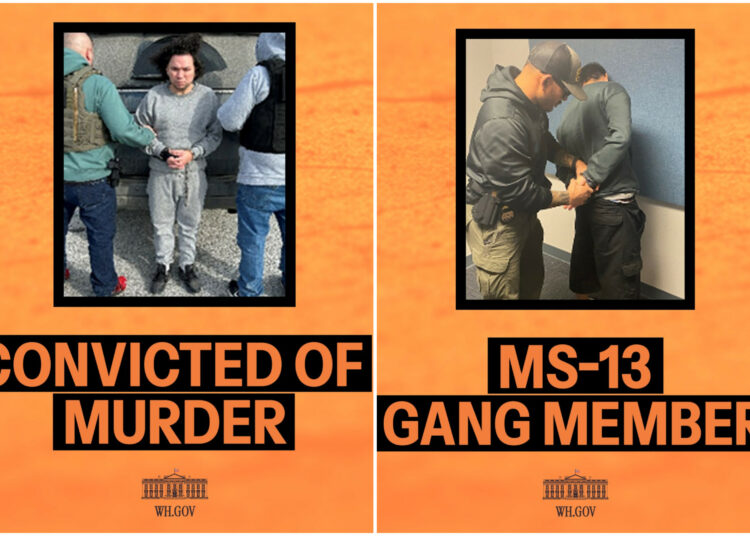 Dos salvadoreños de alta peligrosidad entre los capturados en arrestos por inmigración ilegal