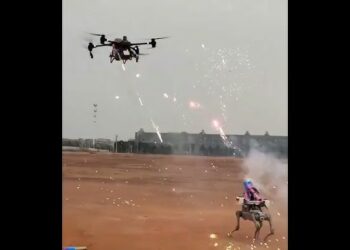 VIDEO: Perro robot y dron protagonizan un espectacular combate con fuegos artificiales