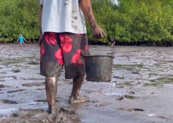 Ministerio de Trabajo intensifica esfuerzos para erradicar el trabajo infantil en la extracción de curiles