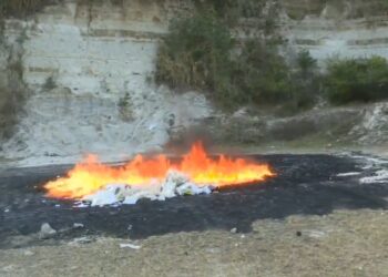 Destruyen diferentes tipos de droga incautadas en allanamientos valorada en más de $80 mil dólares