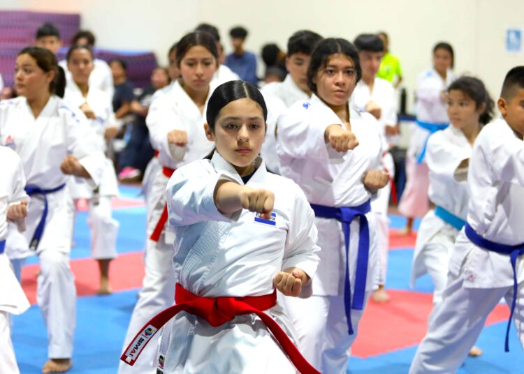 Karate inicia 2025 con un seminario anual de kata
