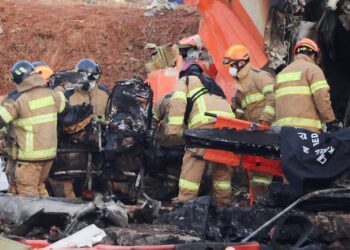 Hallaron ADN de pato en ambos motores del avión de Jeju Air que se estrelló en Corea del Sur y dejó 179 muertos