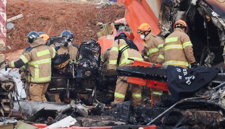 Hallaron ADN de pato en ambos motores del avión de Jeju Air que se estrelló en Corea del Sur y dejó 179 muertos