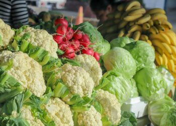 Estrategia de Agro Mercados continúa siendo clave para la reducción de precios de la canasta básica