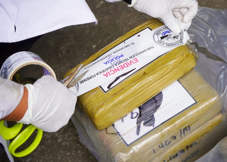 Autoridades verifican más de 4 kilos de cocaína incautada en altamar que serán destruidos