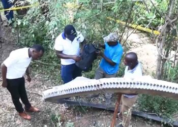 Cae del cielo un enorme anillo de metal en una aldea de Kenia