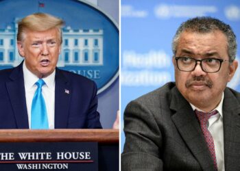 OMS lamenta salida de EE. UU. y anuncia plan para Gaza