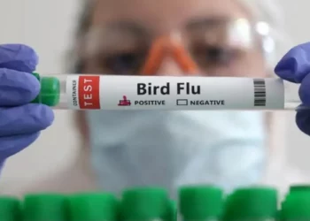 Muere la primera persona por el virus de gripe aviar en Estados Unidos