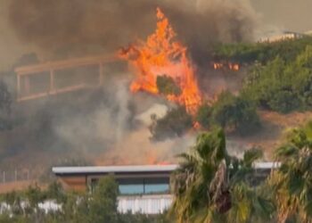 Celebridades entre los miles de evacuados por los incendios de Los Ángeles