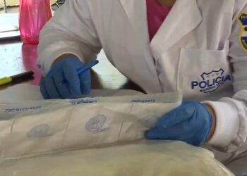 FGR y PNC verifican peso de droga a destruir incautada en San Salvador y Santa Ana