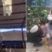 Fallece docente al caer del techo de un centro escolar en Lourdes, Colón