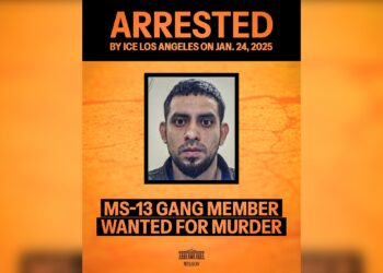 Estados Unidos captura a pandillero de la MS con orden de detención por homicidio