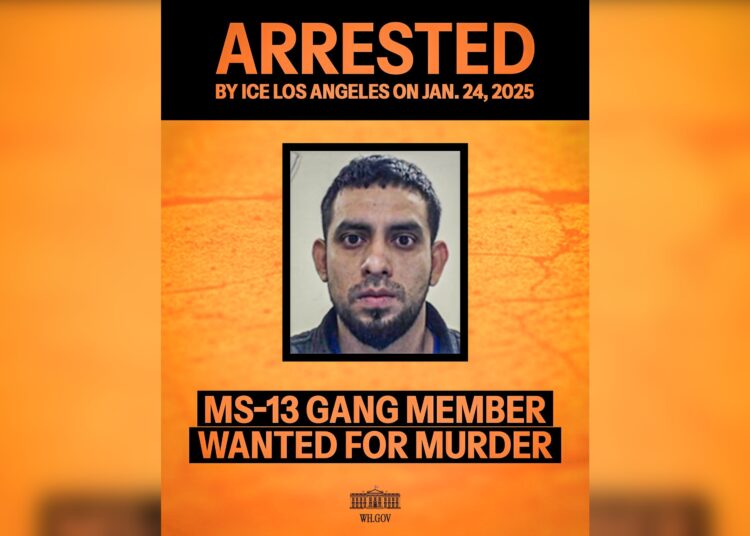 Estados Unidos captura a pandillero de la MS con orden de detención por homicidio
